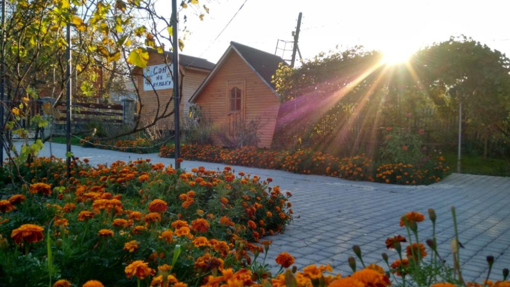 Фото 3