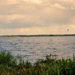 Пулемецьке