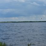 Пулемецкое