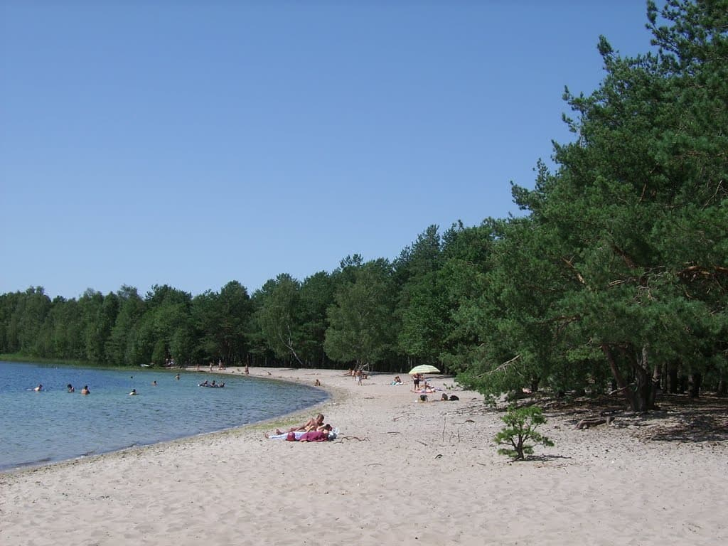 Мельники село Мельники