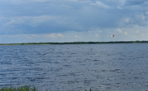 озеро Пулемецкое озеро Пулемецкое