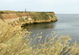 острів Березань