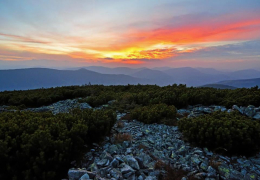 Система гірських хребтів Горгани