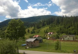 Карпатський маєток в Славську №2