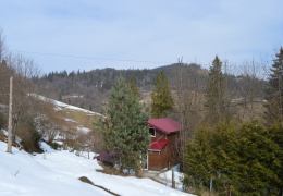 Вид з вікна садиби