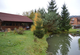 Ставок і колиба Приватна садиба У Галі