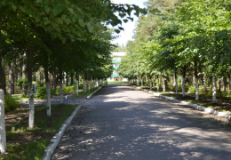 Санаторій Лісова пісня №1