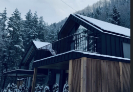 Окремий будинок Окремий будинок