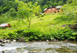 Окремий будинок Окремий будинок