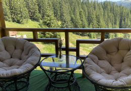 Двомісний + 2