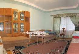 Окремий будинок Окремий будинок