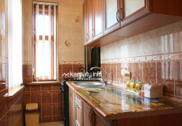 Окремий будинок