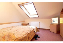 Одномісний