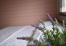 Окремий будинок Окремий будинок