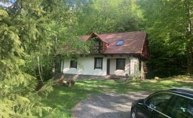 Котедж Джерело під лісом