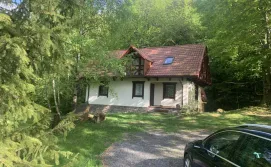 Котедж Джерело під лісом