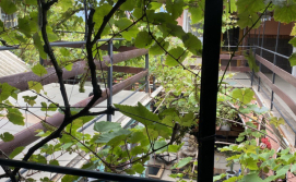 Гостевой дом Отдых у моря 1