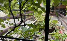 Гостевой дом Отдых у моря 1