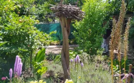 Приватний сектор у Світлани