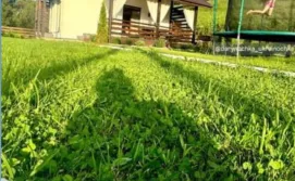 Котедж Світанок