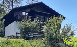 Котедж Шале під Боржавою