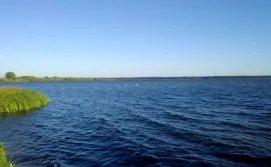 Приватний сектор Ципель