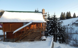 Приватна садиба "Лісова Ягода"