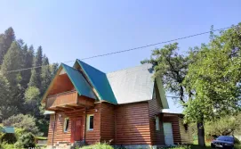 Котедж вул. Кам'янка, 19