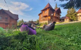 Котедж Grey Goose