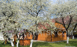 Котедж Вишневий сад