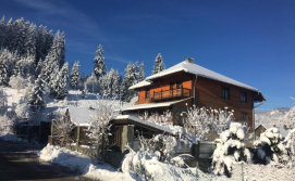 Приватна садиба Яна