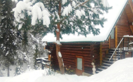 Апартаменти Bungalow in mountains