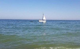 Апартаменти Золотий бугаз біля моря