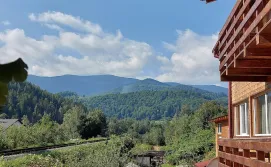 Приватний сектор у Кароліни