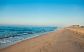 Апартаменти GOLD BUGAZZ