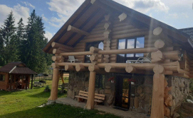 Котедж Дикий зруб