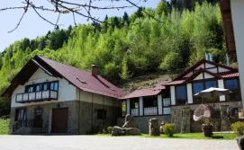 Приватна садиба Кам'янка