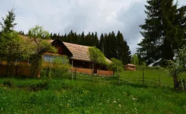 Приватна садиба Гуцульська Спадщина