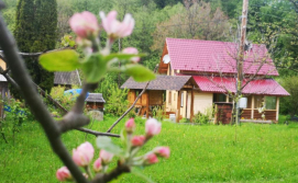 Котедж Карпатський світанок