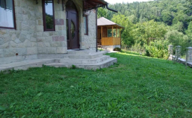 Будинок UNDERHILLs house