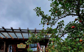 Будиночок До Сонця Близько