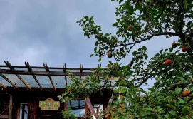 Будиночок До Сонця Близько