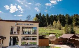 Готель Поезія Мандрів