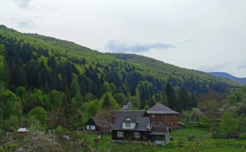 Приватна садиба Гостьовий двір