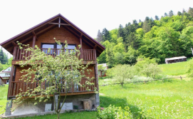 Котедж "Карпатський Краєвид"