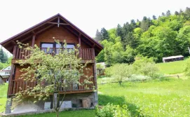 Котедж "Карпатський Краєвид"