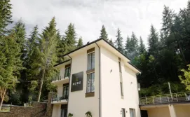 Вілла Budz Карпати