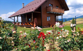 Котедж Карпатська Модринка