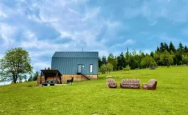 Котедж Гірський барн