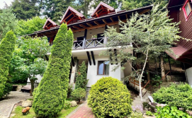 Вілла Лісова комфорт